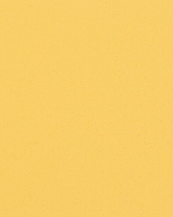 Century (C-207)