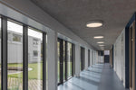 Internal Paints
