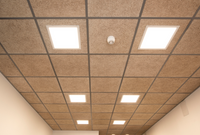Cewood Acoustic Boards