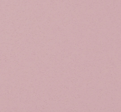 Beeck Maxil Pro
