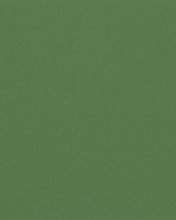 Rain Forrest (C-656)